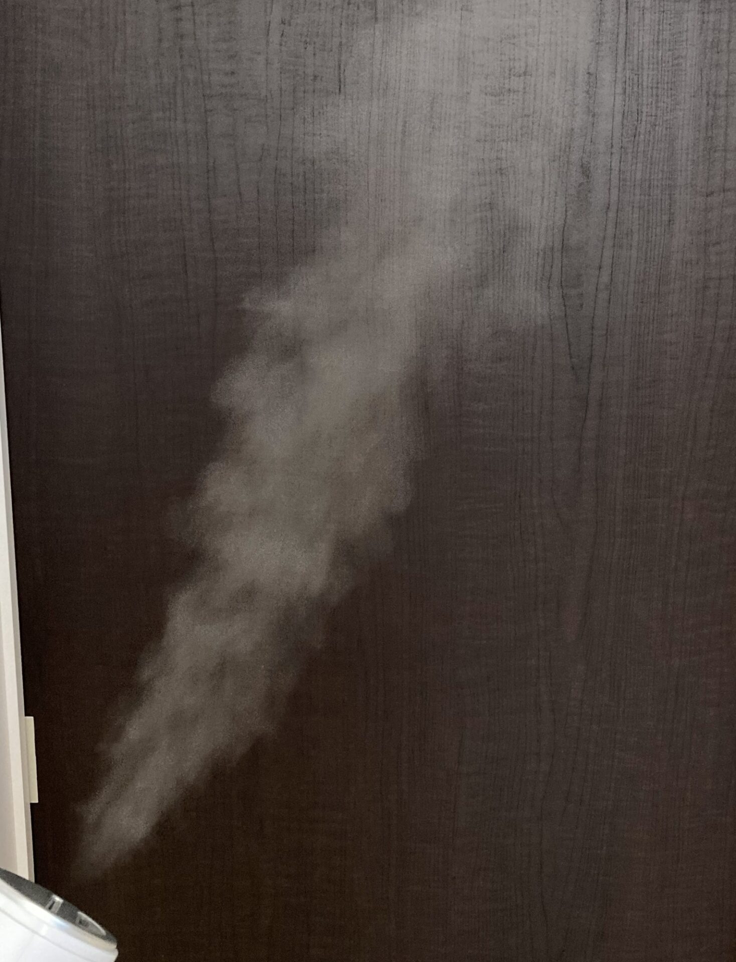 スチーム（標準）の写真